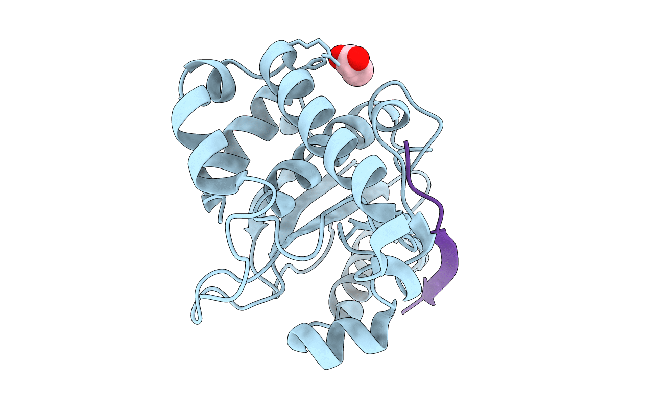 1NLN image