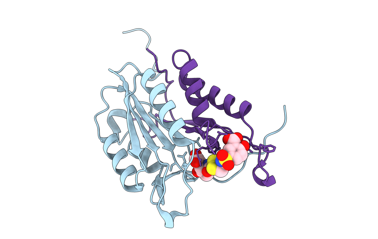 1NME image