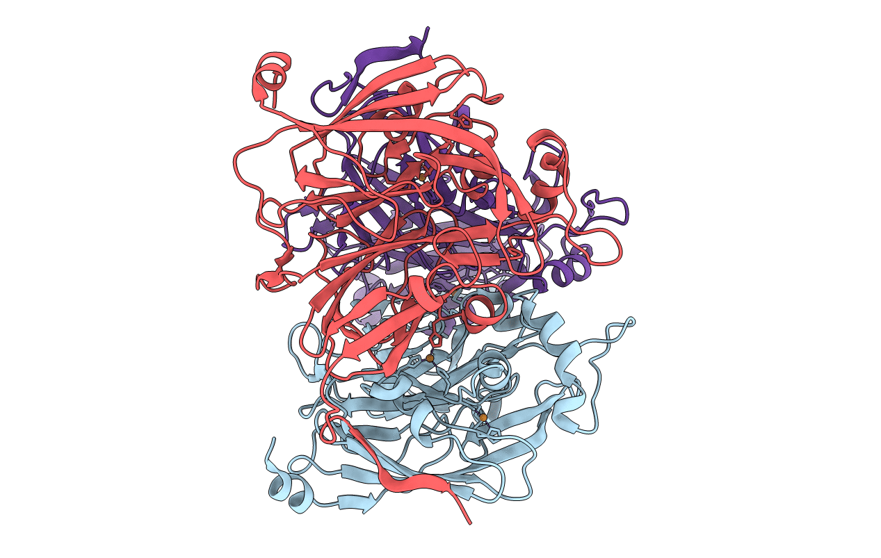1NPJ image