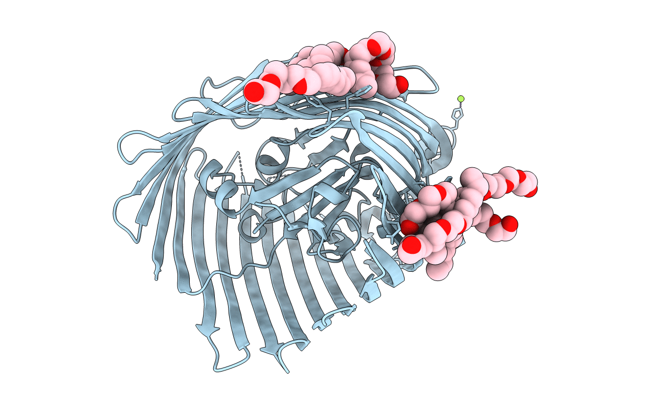 1NQE image