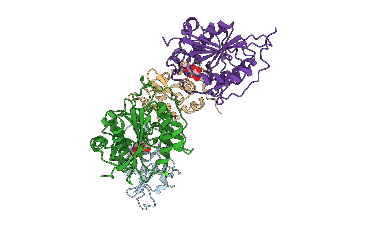1NQI image