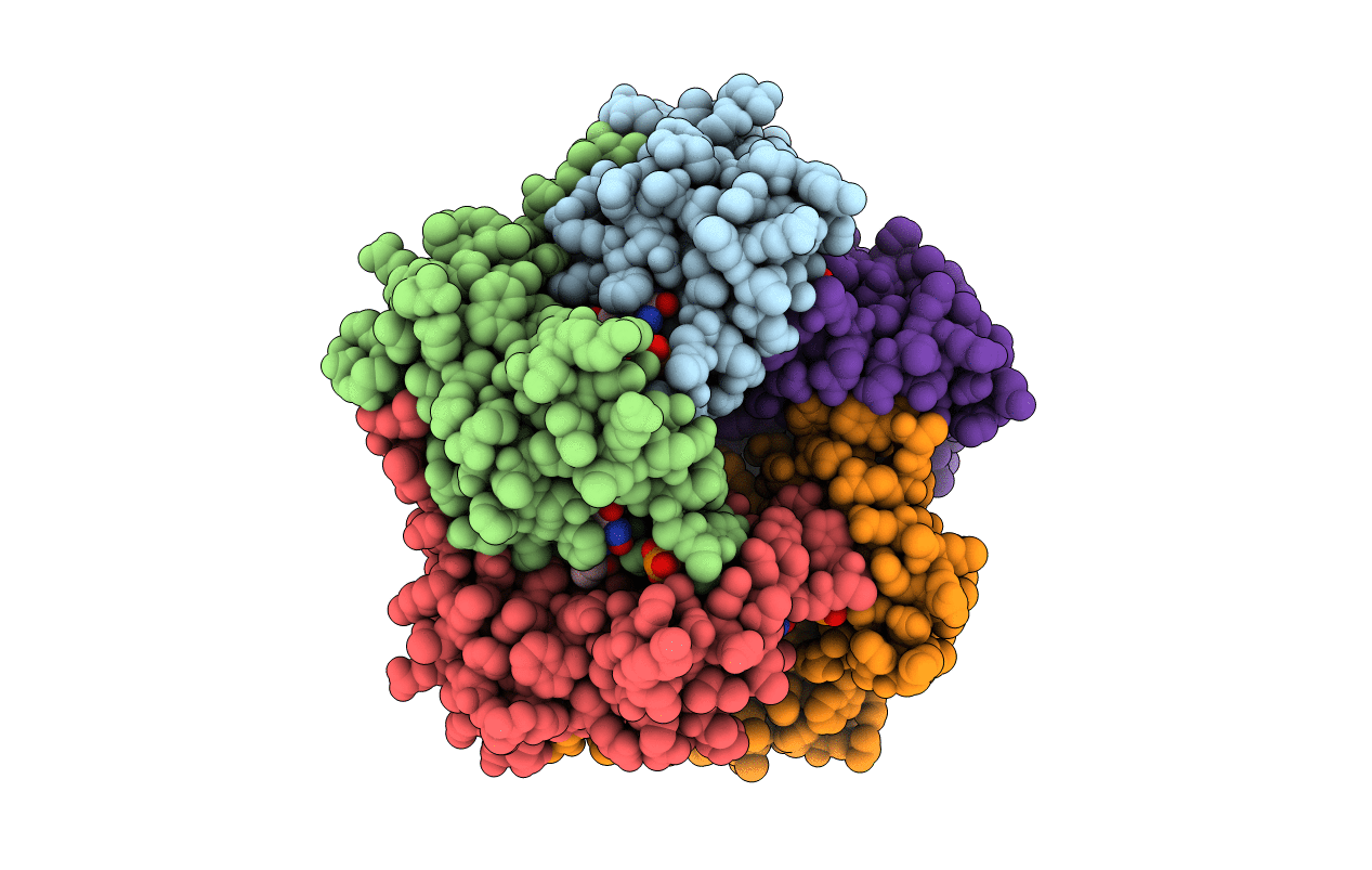 1NQV image
