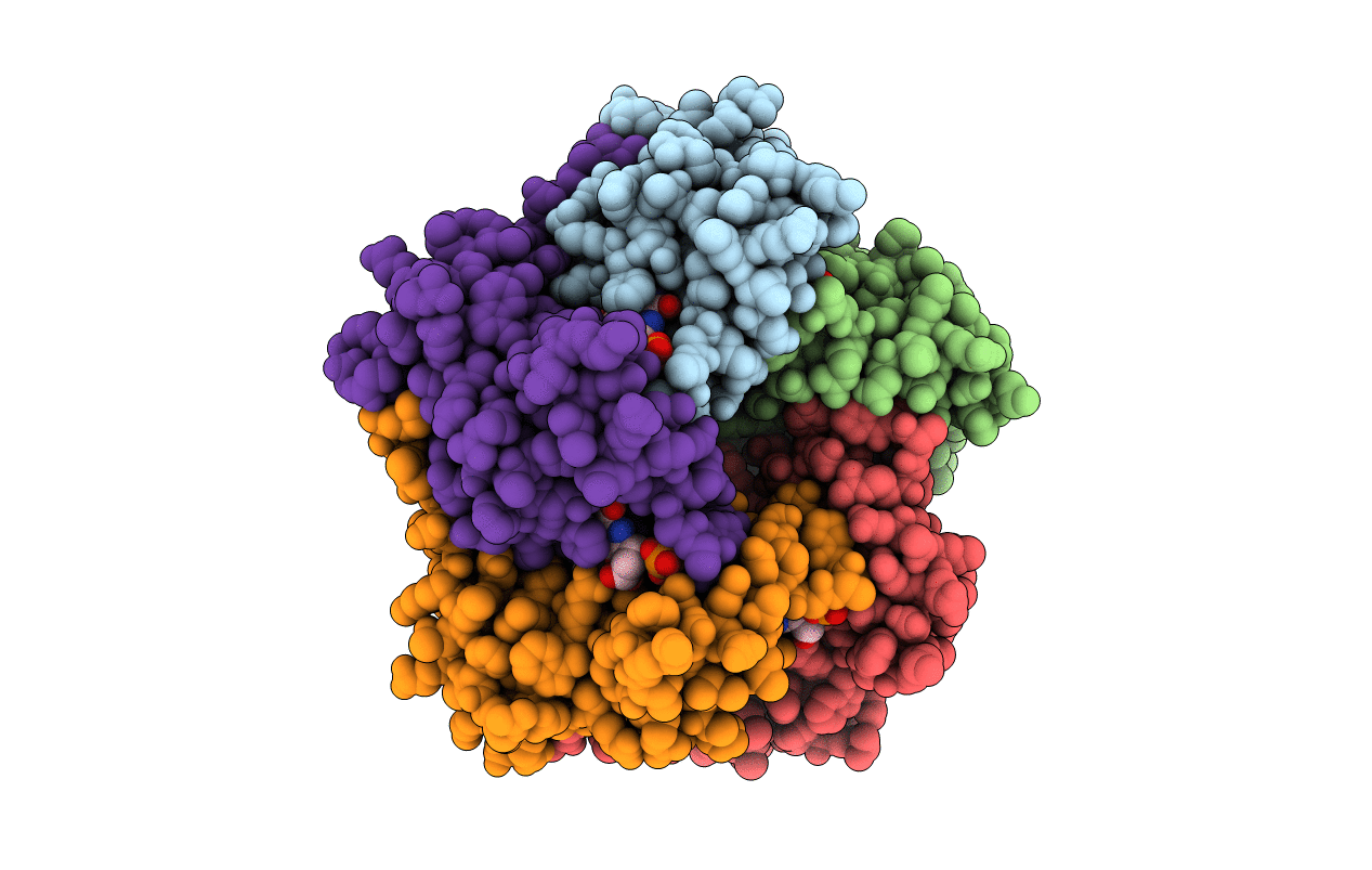 1NQX image