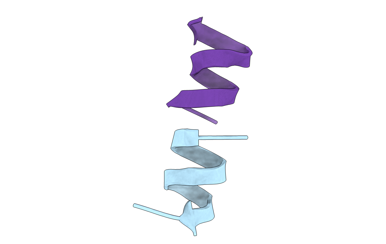 1NT5 image