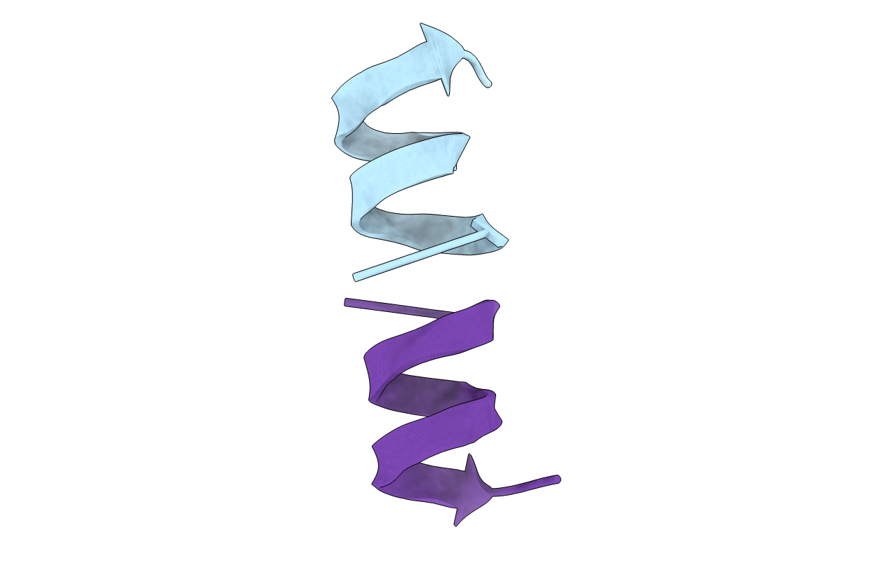 1NT6 image