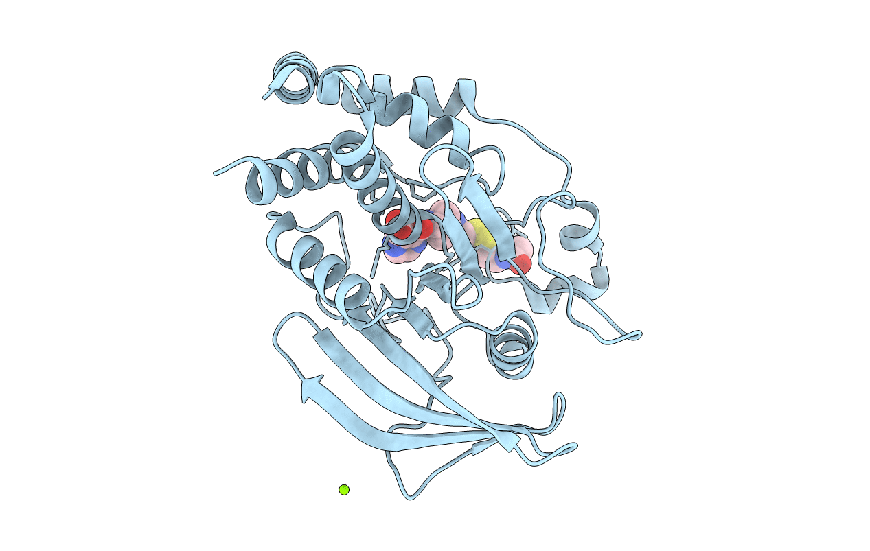 1NWL image