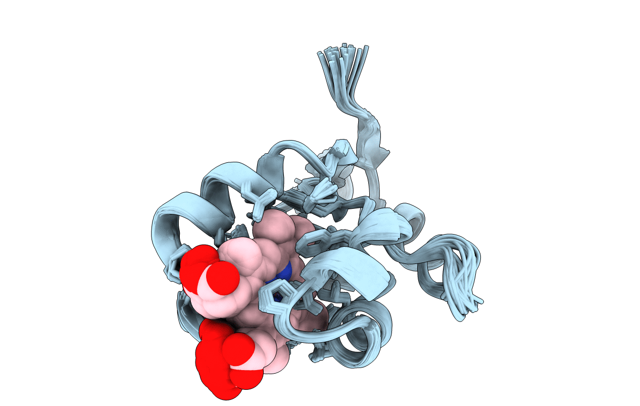 1NX7 image