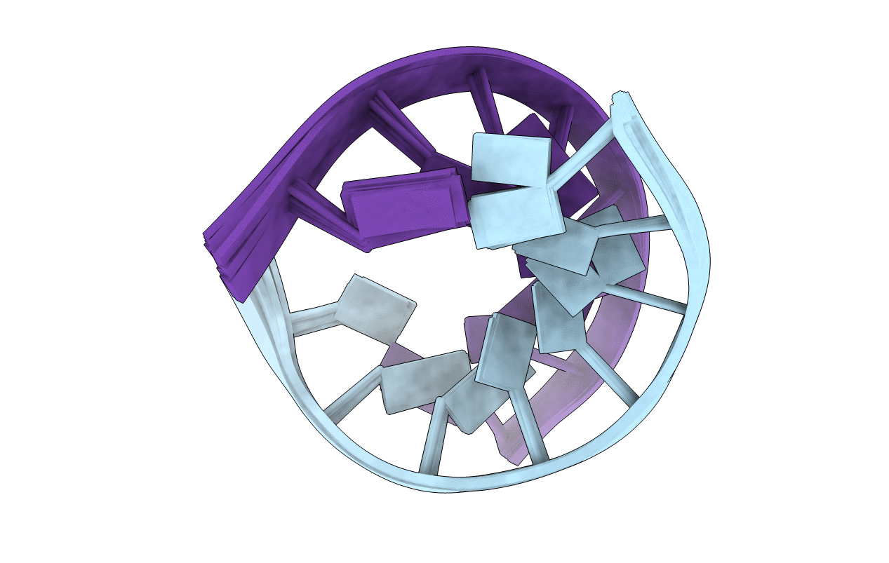 1NXR image