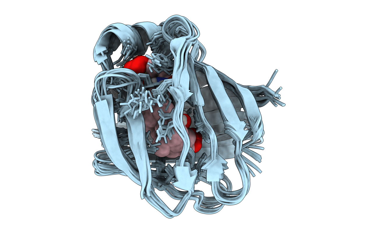 1O1V image