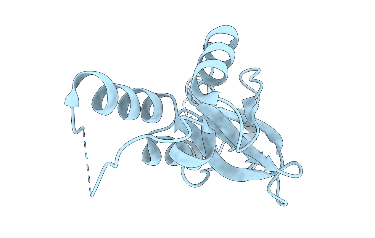 1O50 image