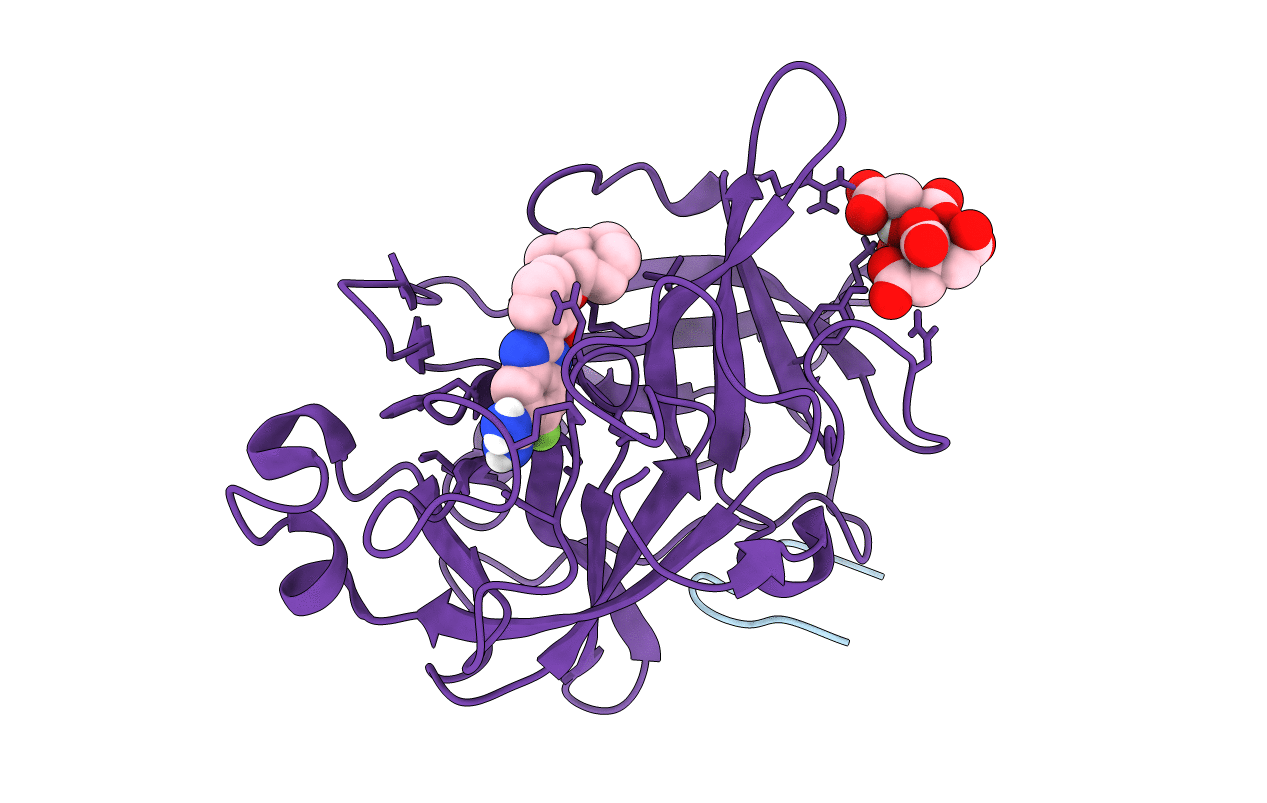 1O5C image