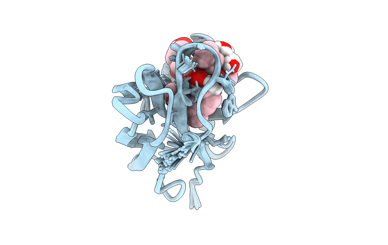 1O5P image