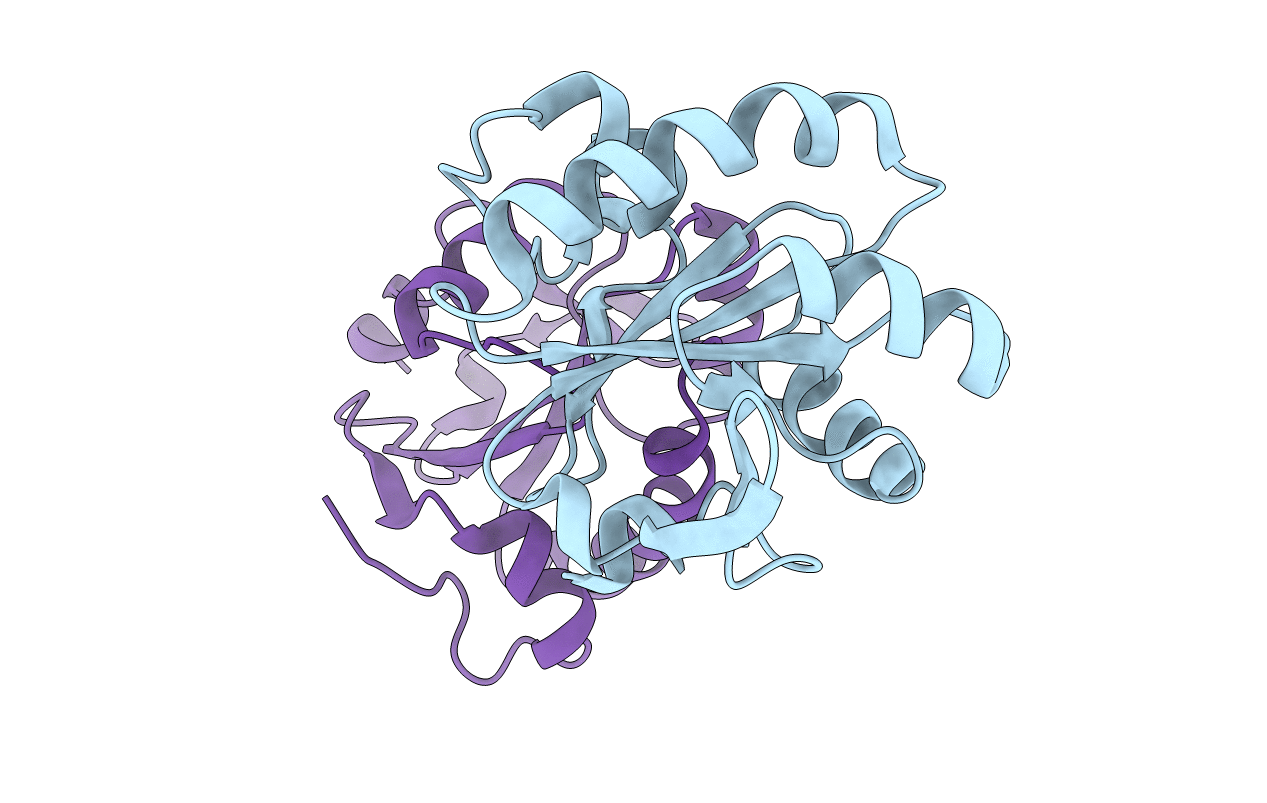 1O6J image