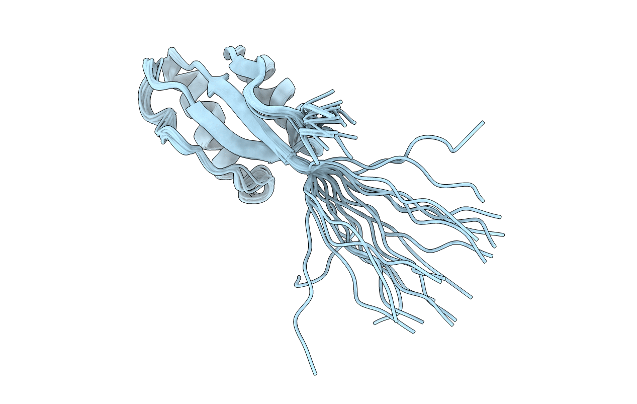 1O6X image