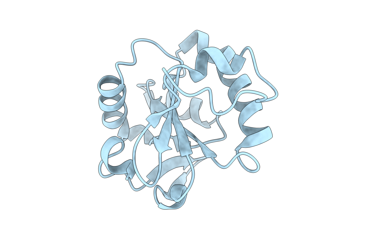 1O8X image
