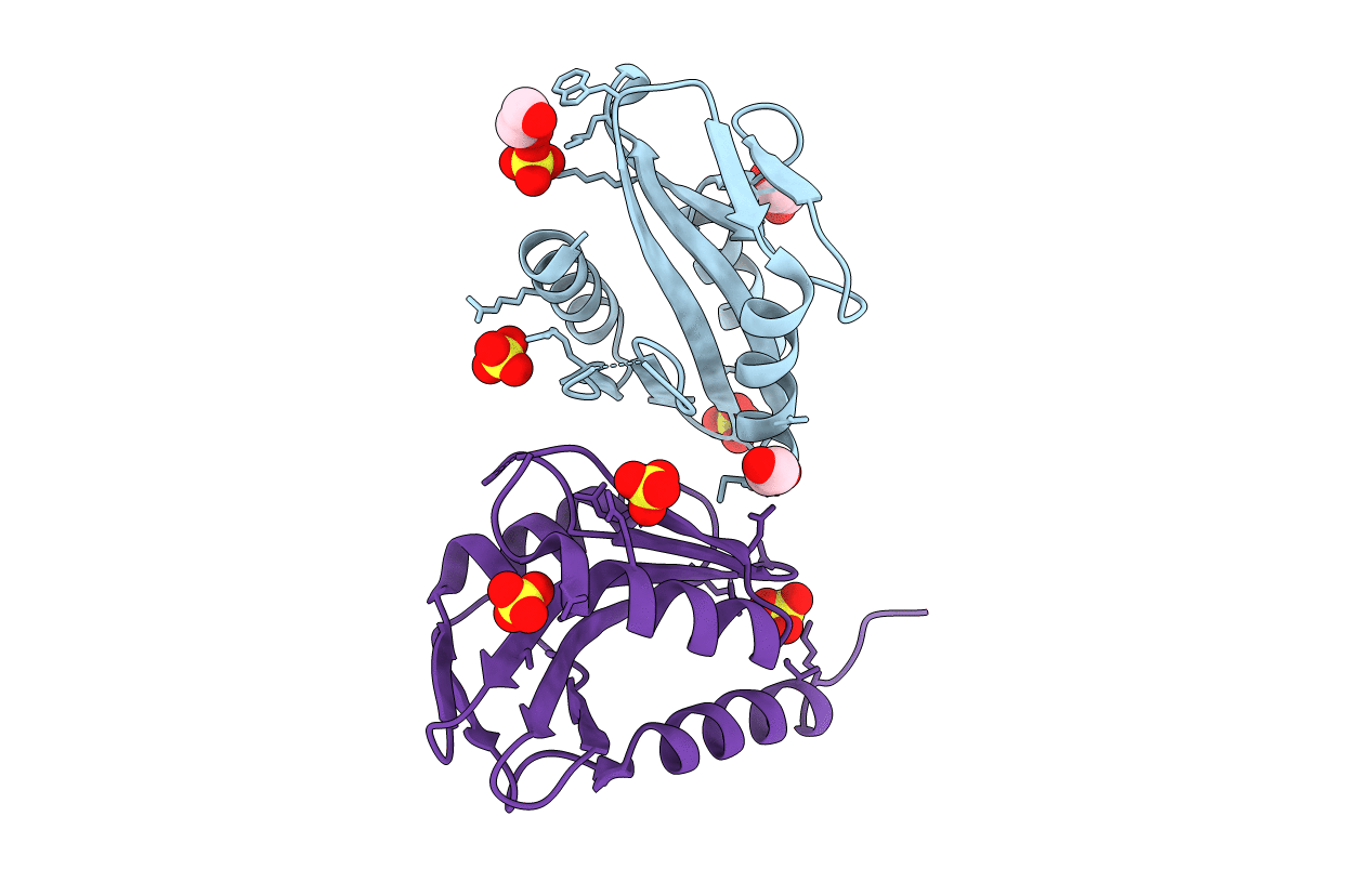 1OB8 image