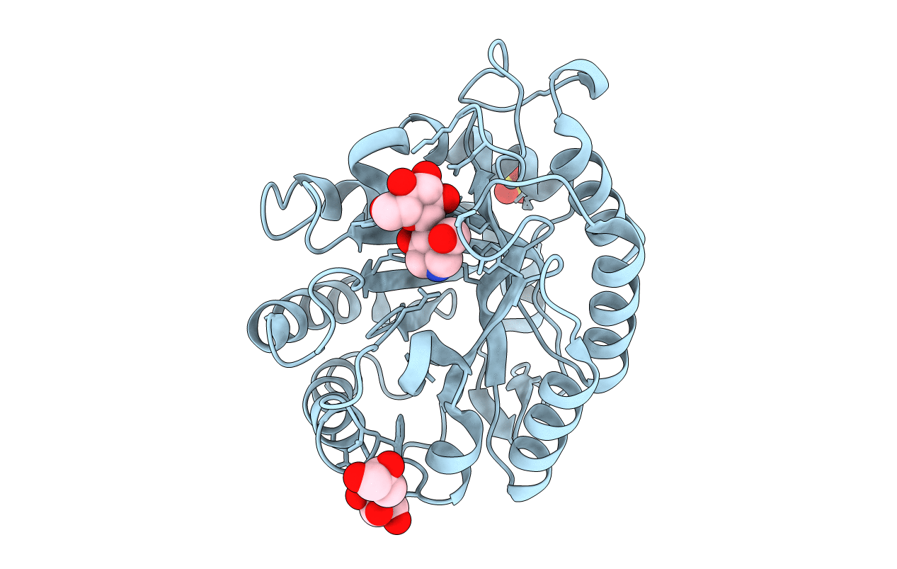 1OCQ image