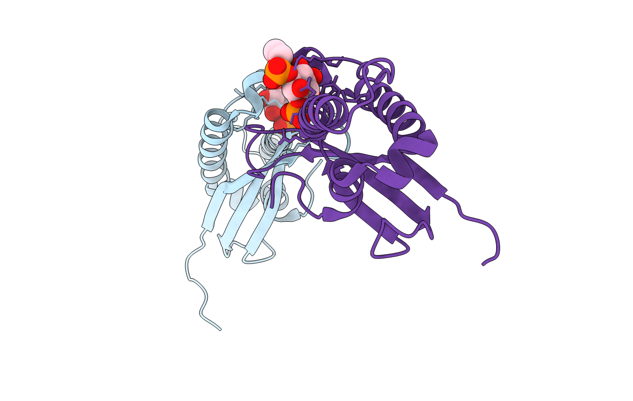 1OCU image