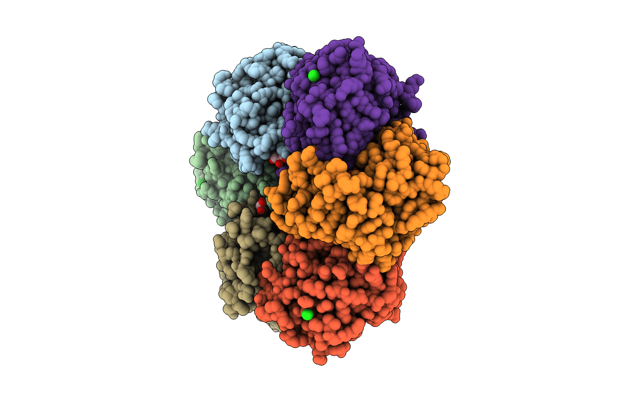 1ODL image