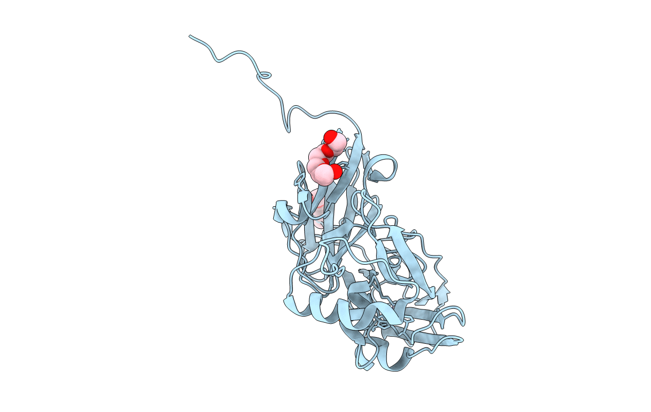 1OE3 image