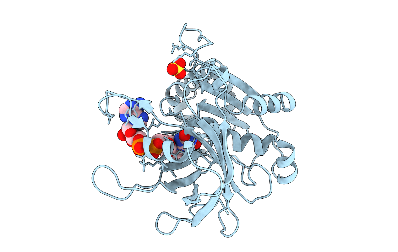 1OGI image