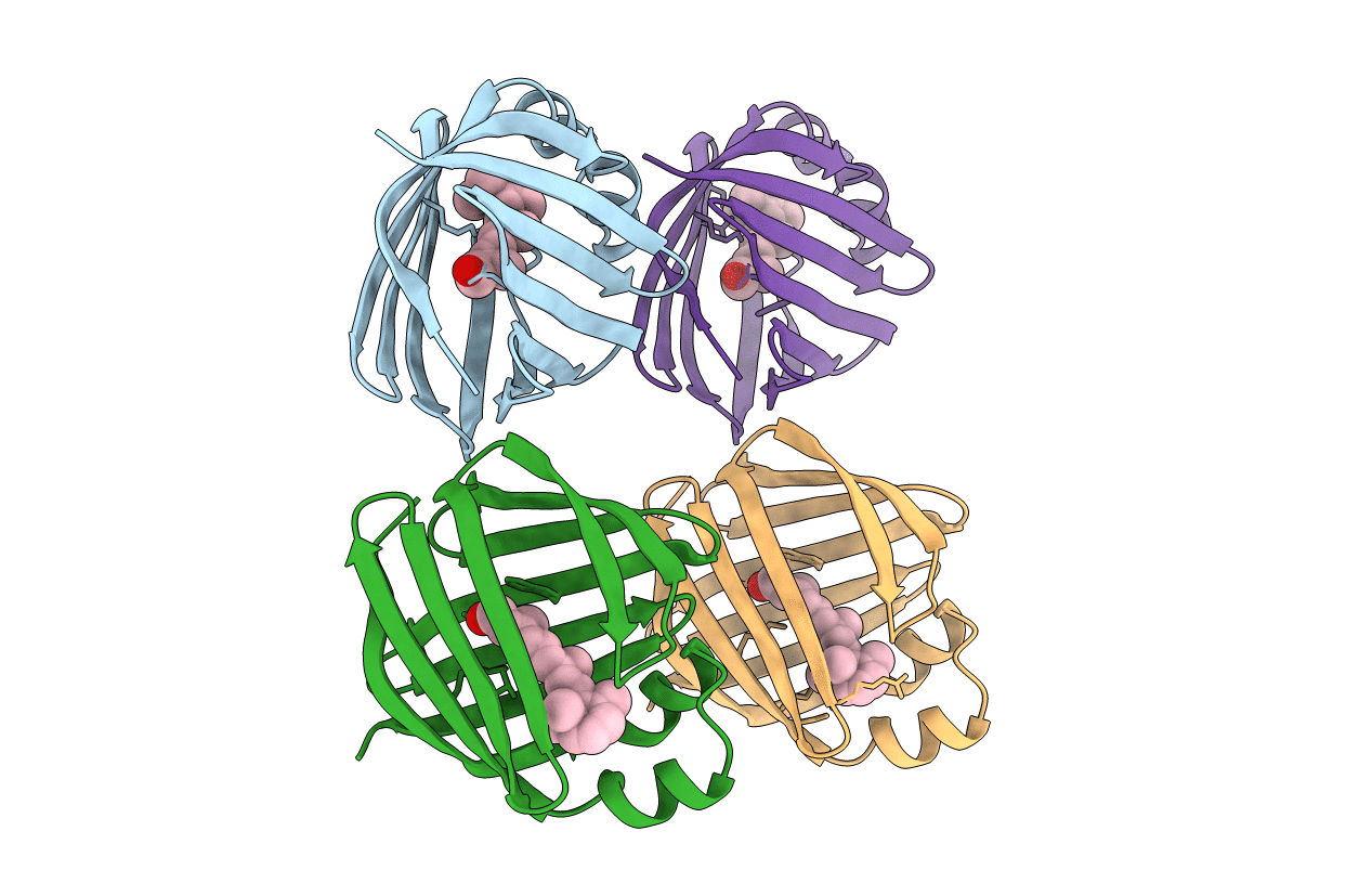 1OPB image