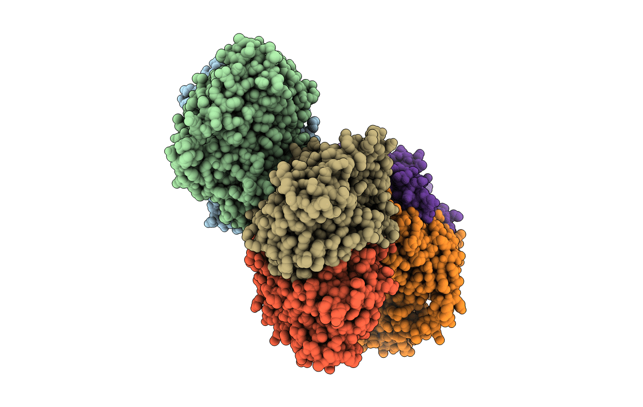 1OQ4 image
