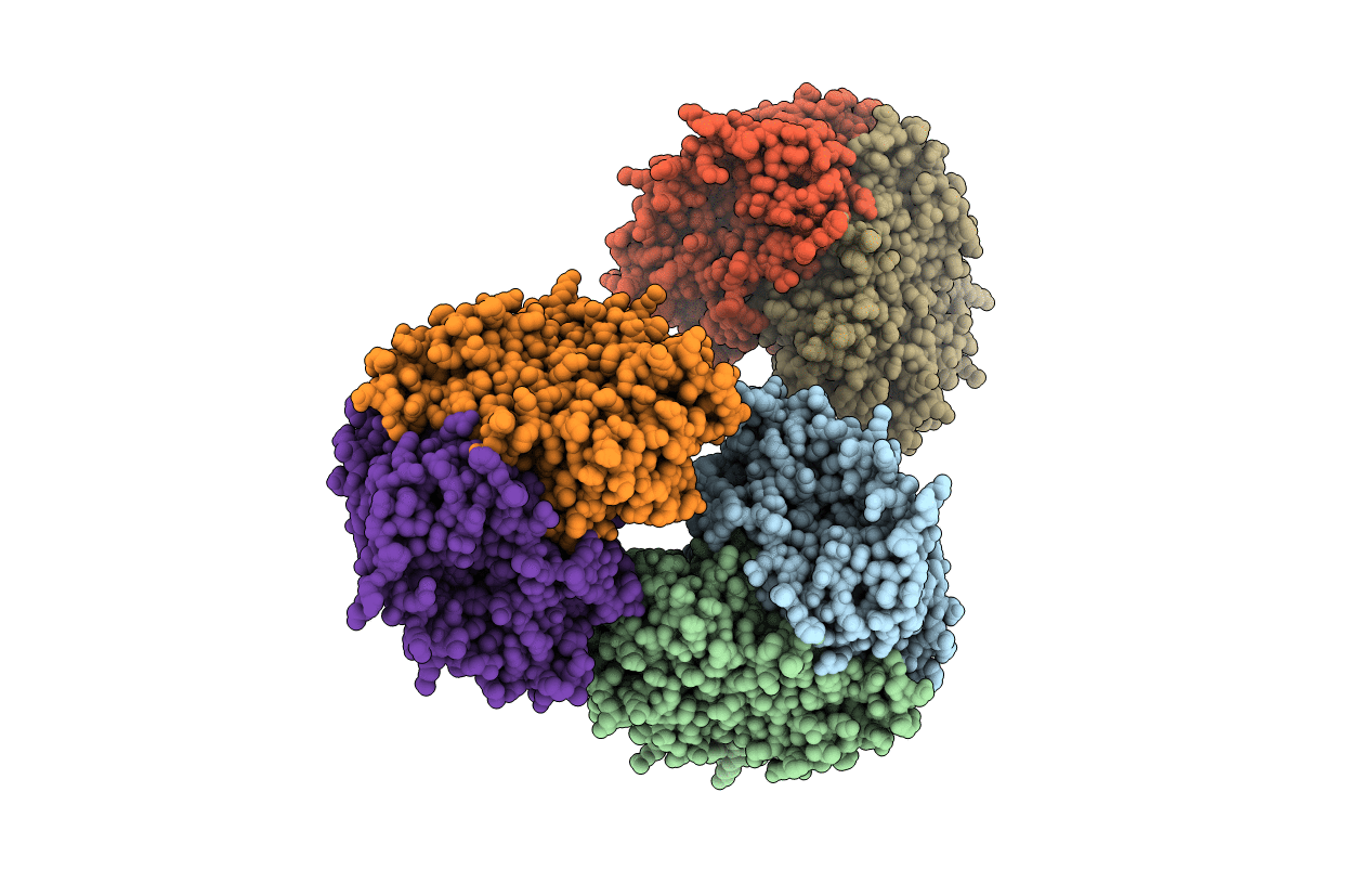 1OQ7 image