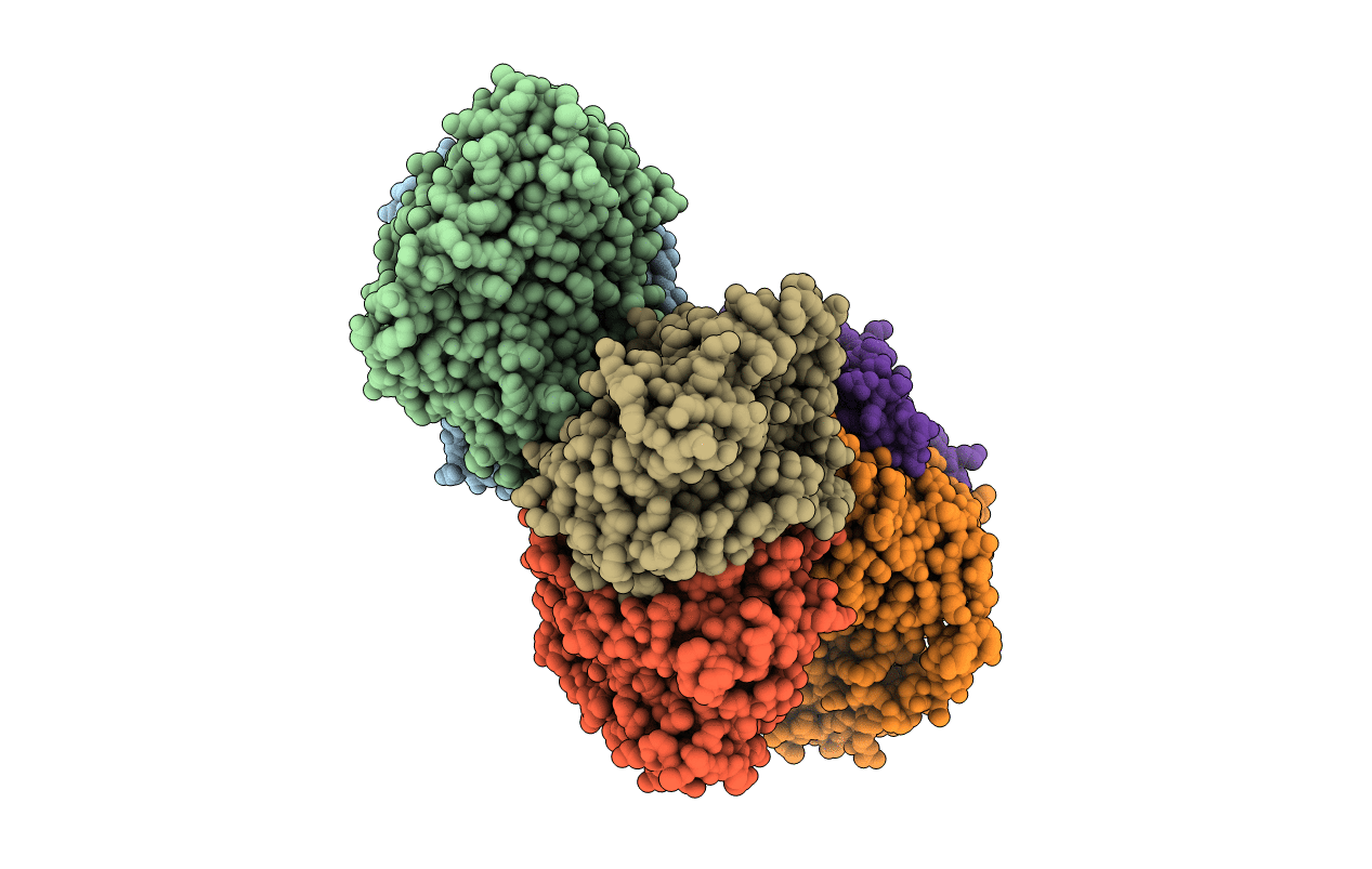 1OQB image