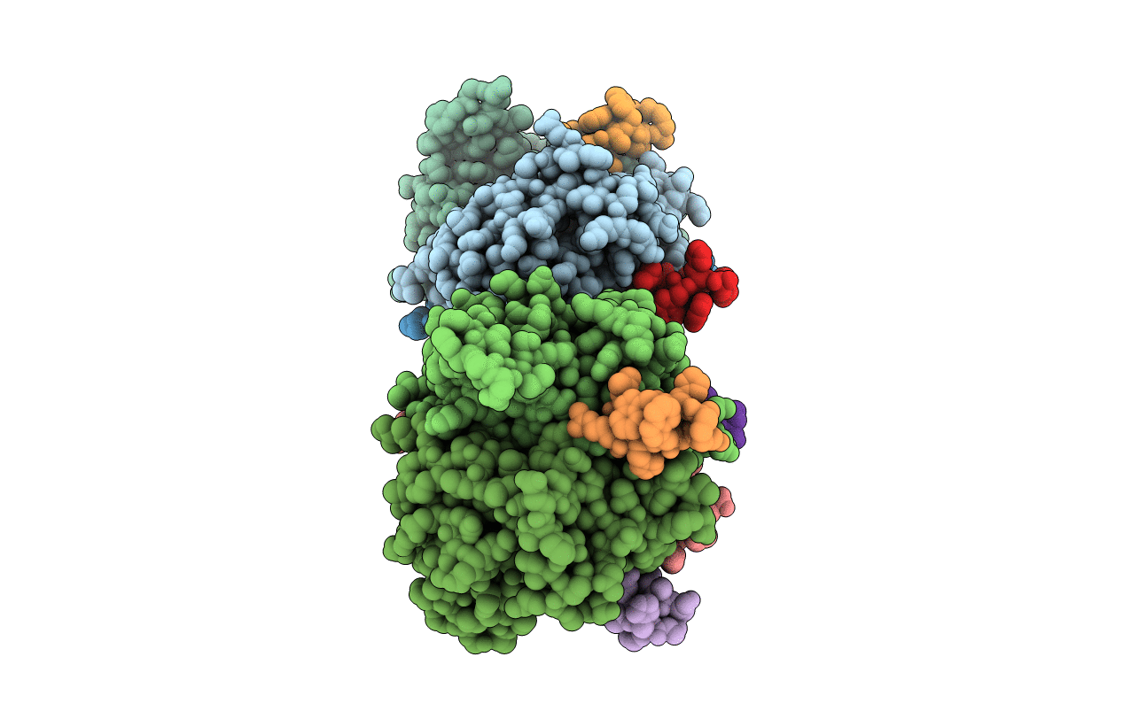 1OSG image