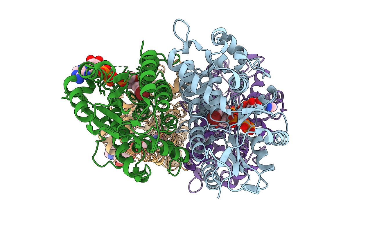 1OSN image