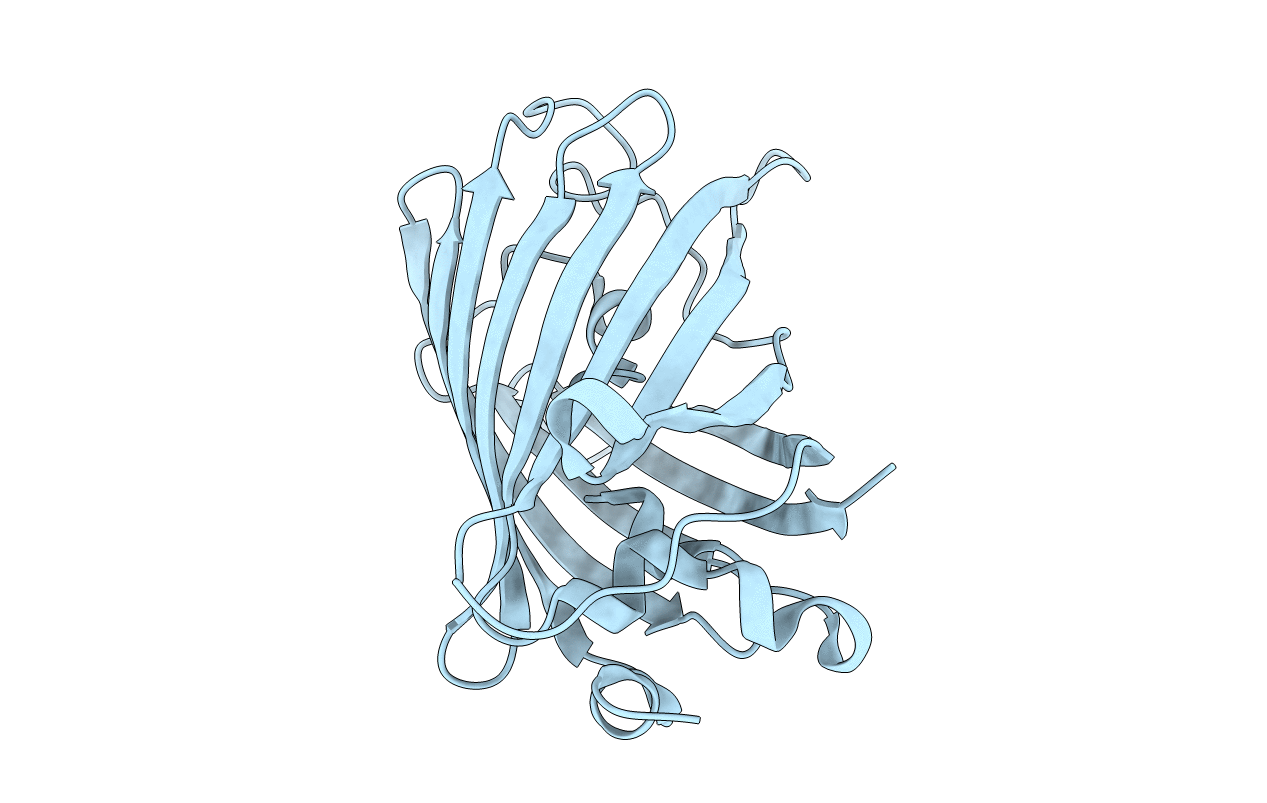 1OXF image