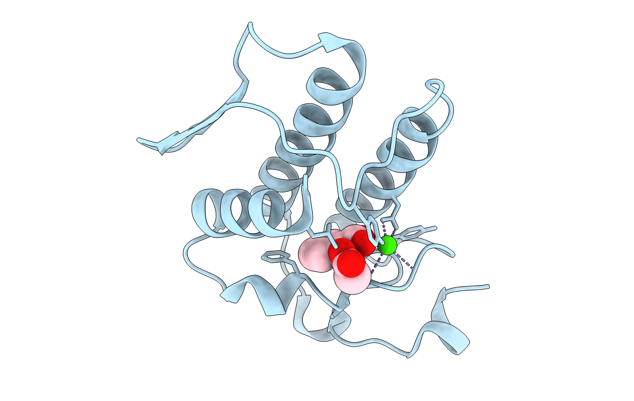 1OXR image