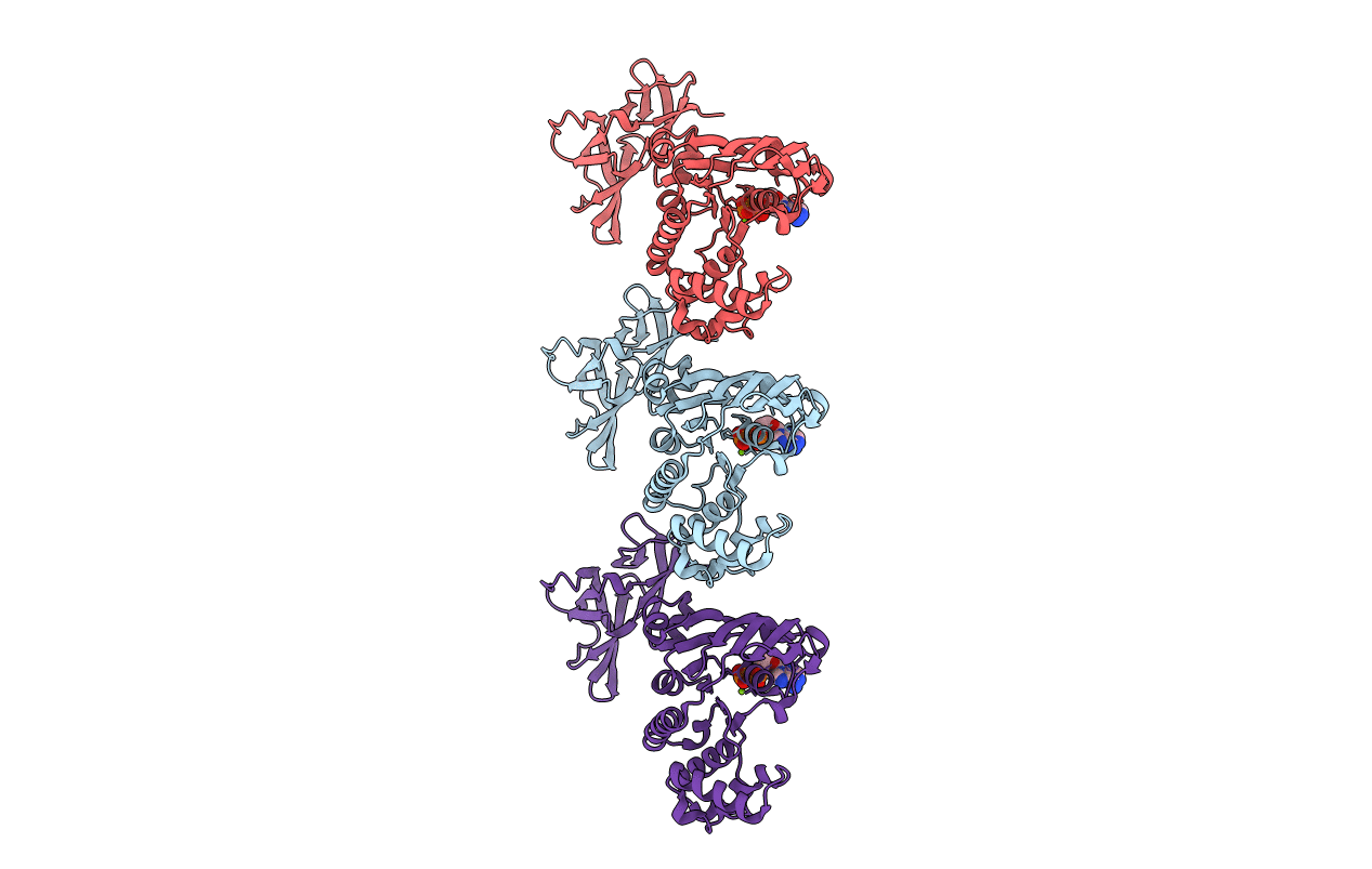 1OXU image