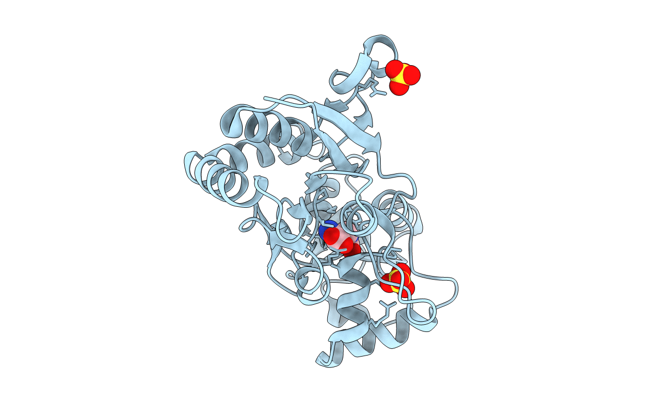 1P1O image