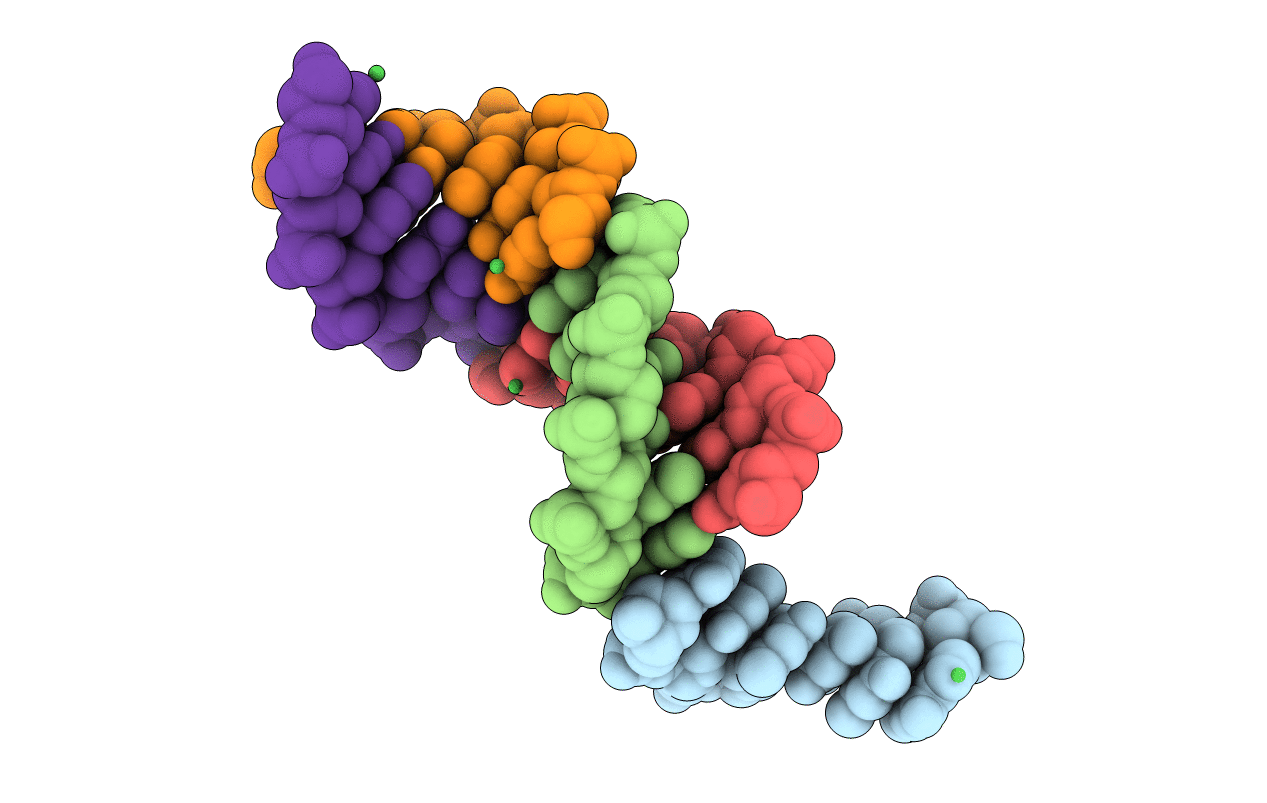 1P25 image