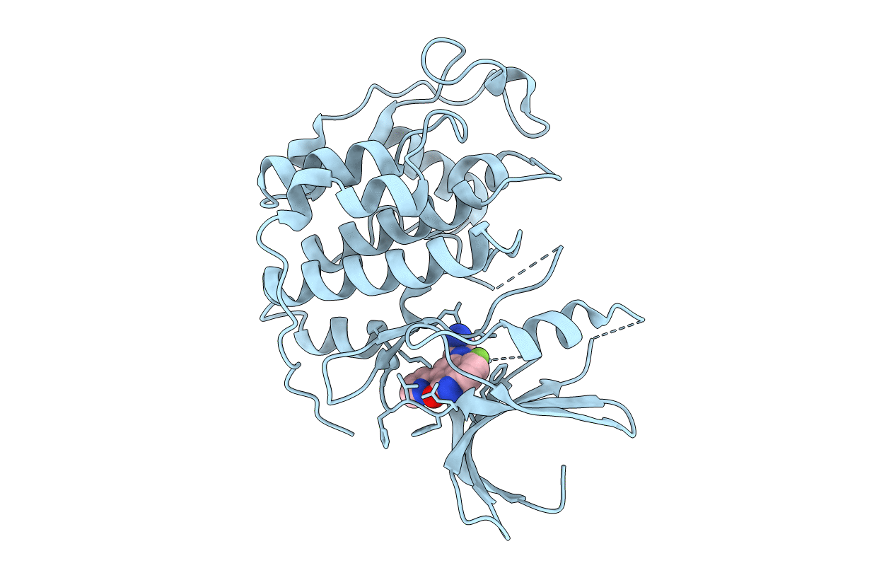 1P2A image