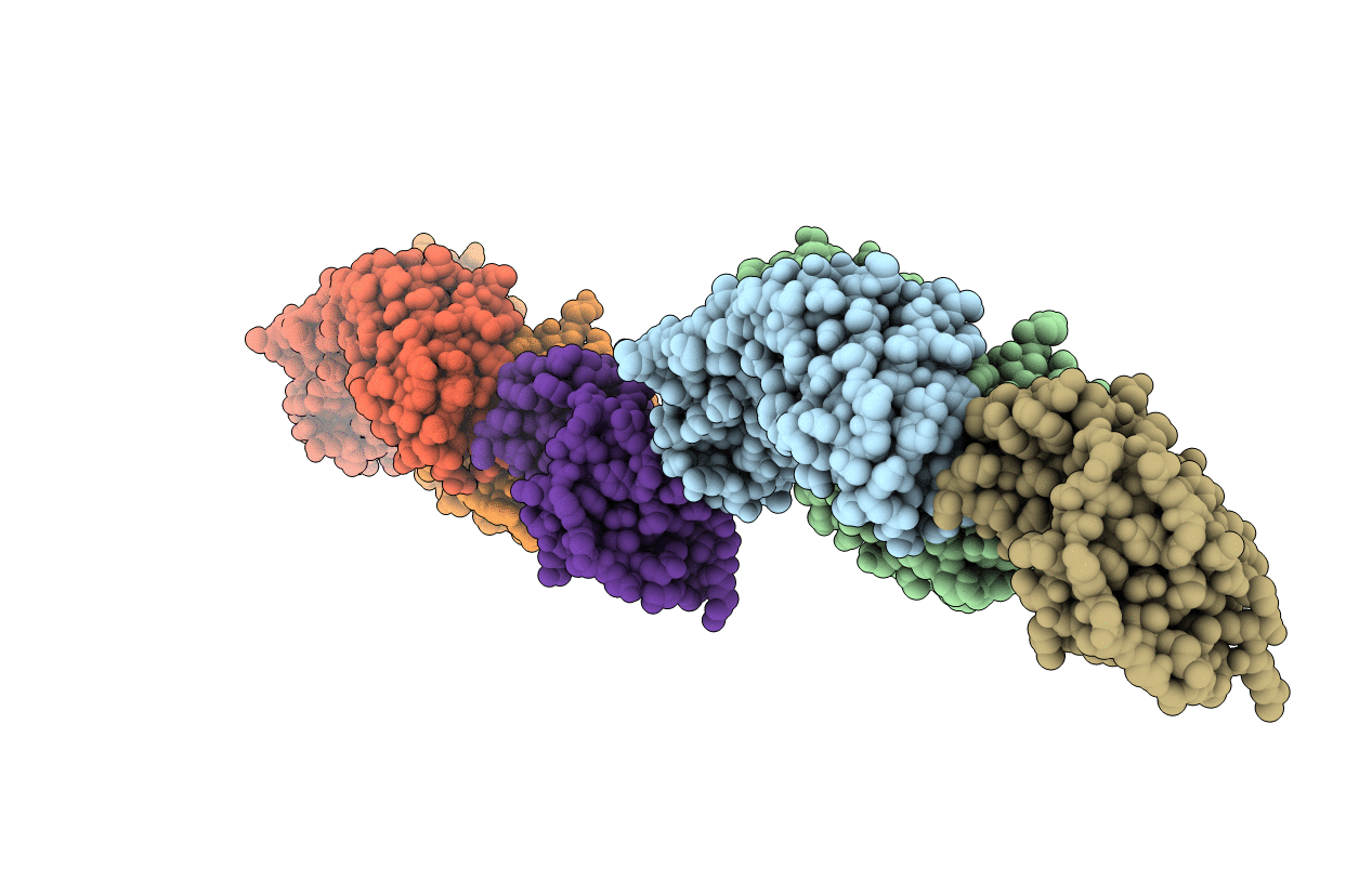 1P2C image