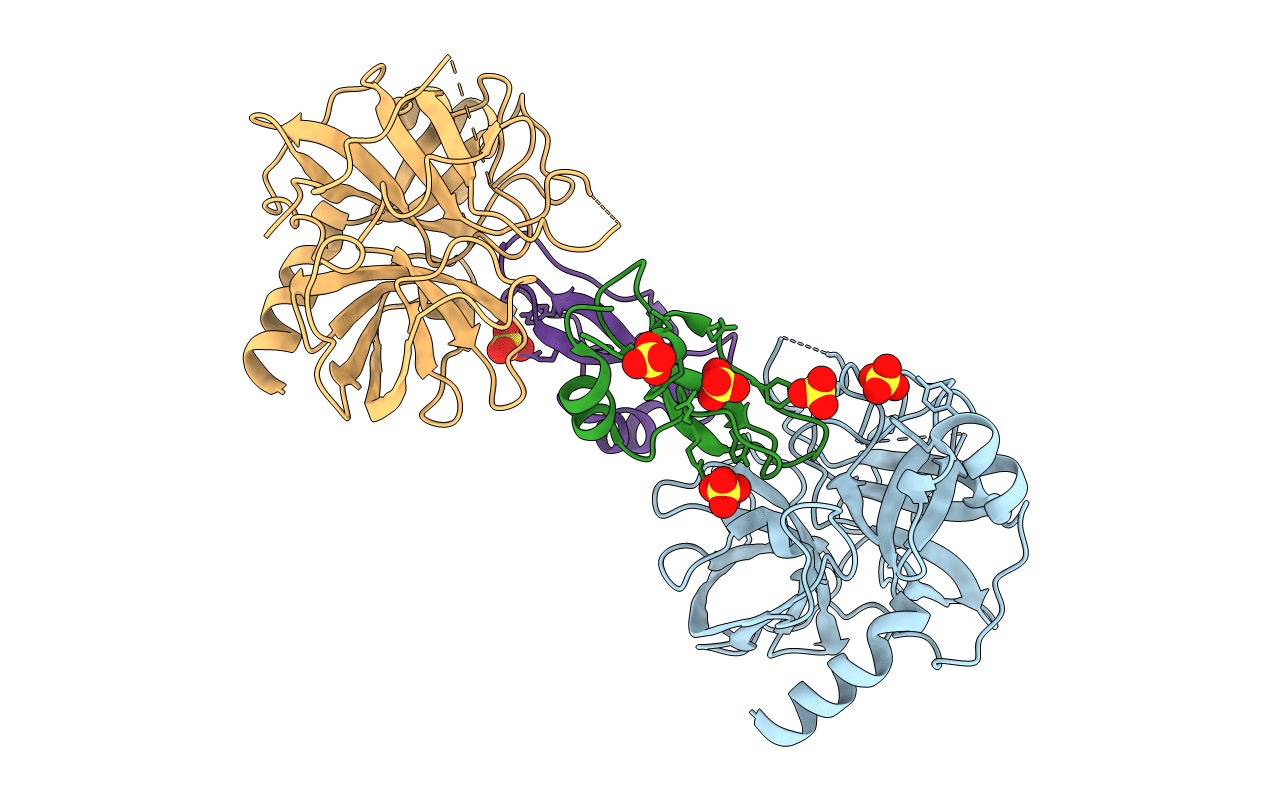 1P2N image