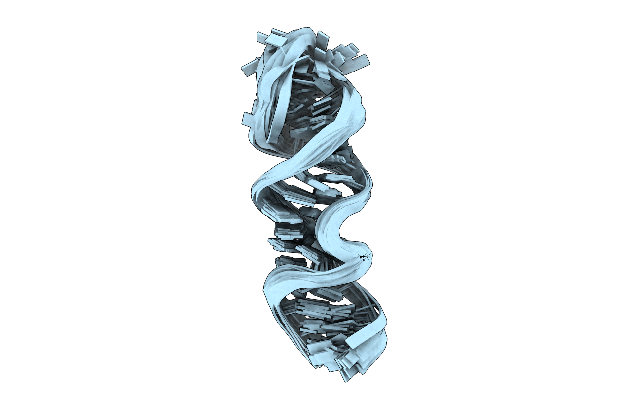 1P5N image