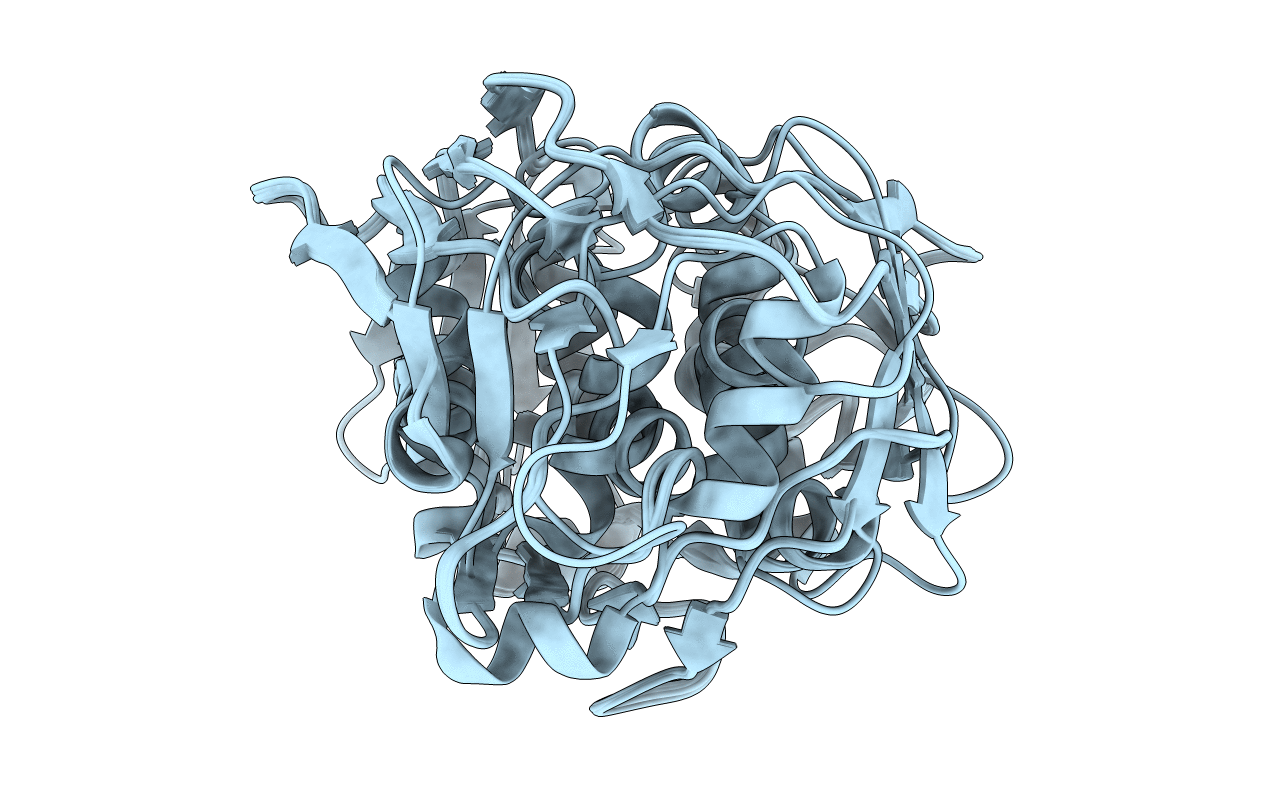 1P88 image