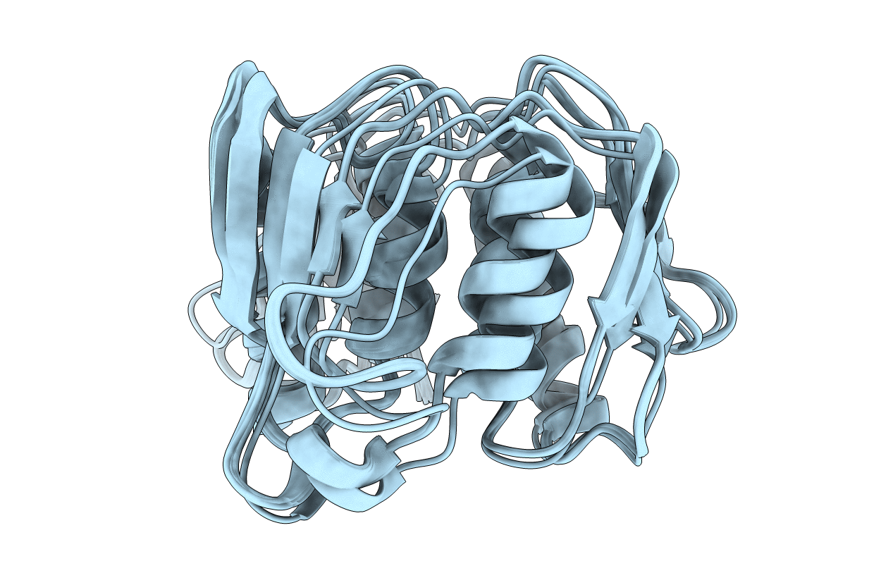 1P89 image