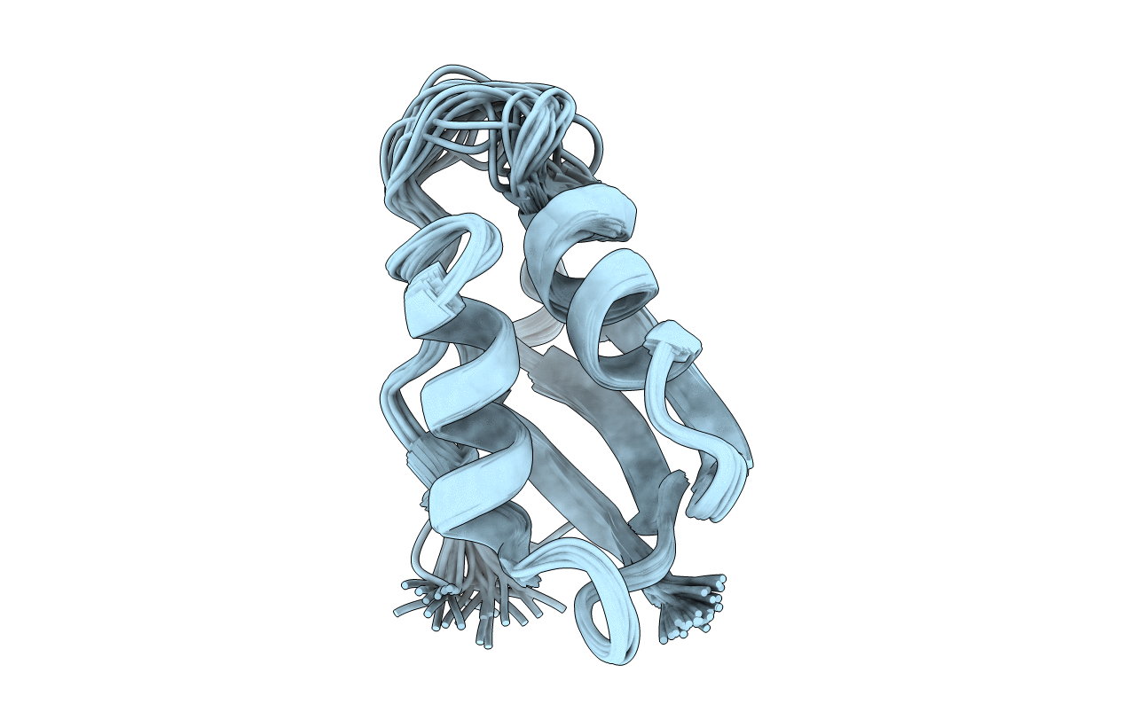 1P8G image