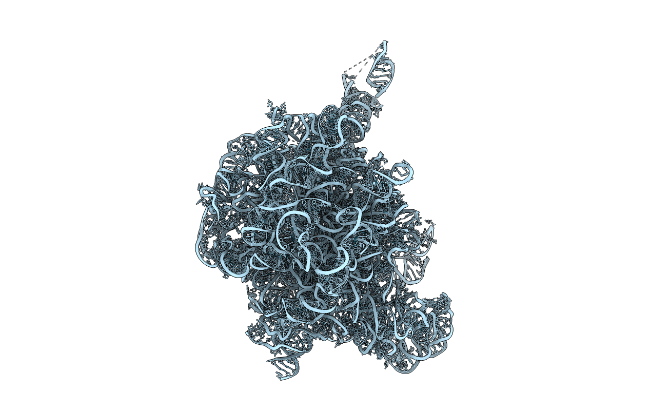1P9X image
