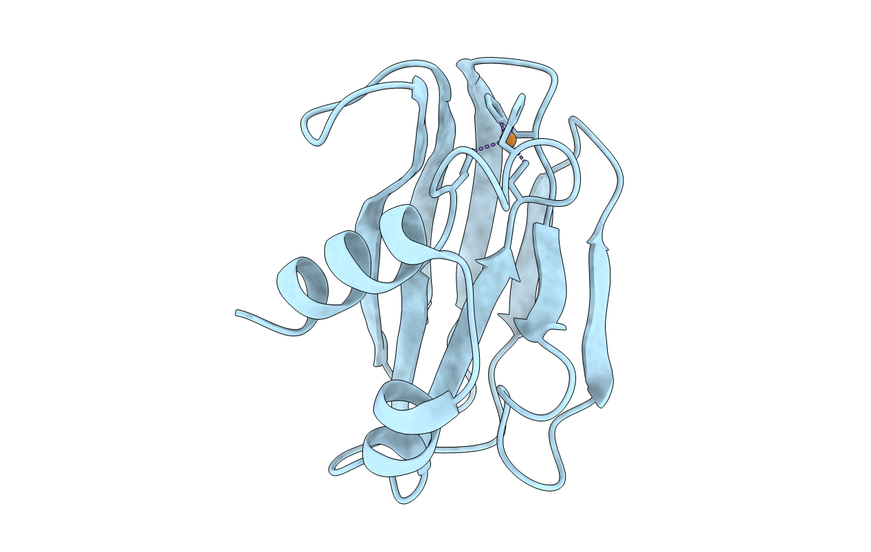 1PAZ image