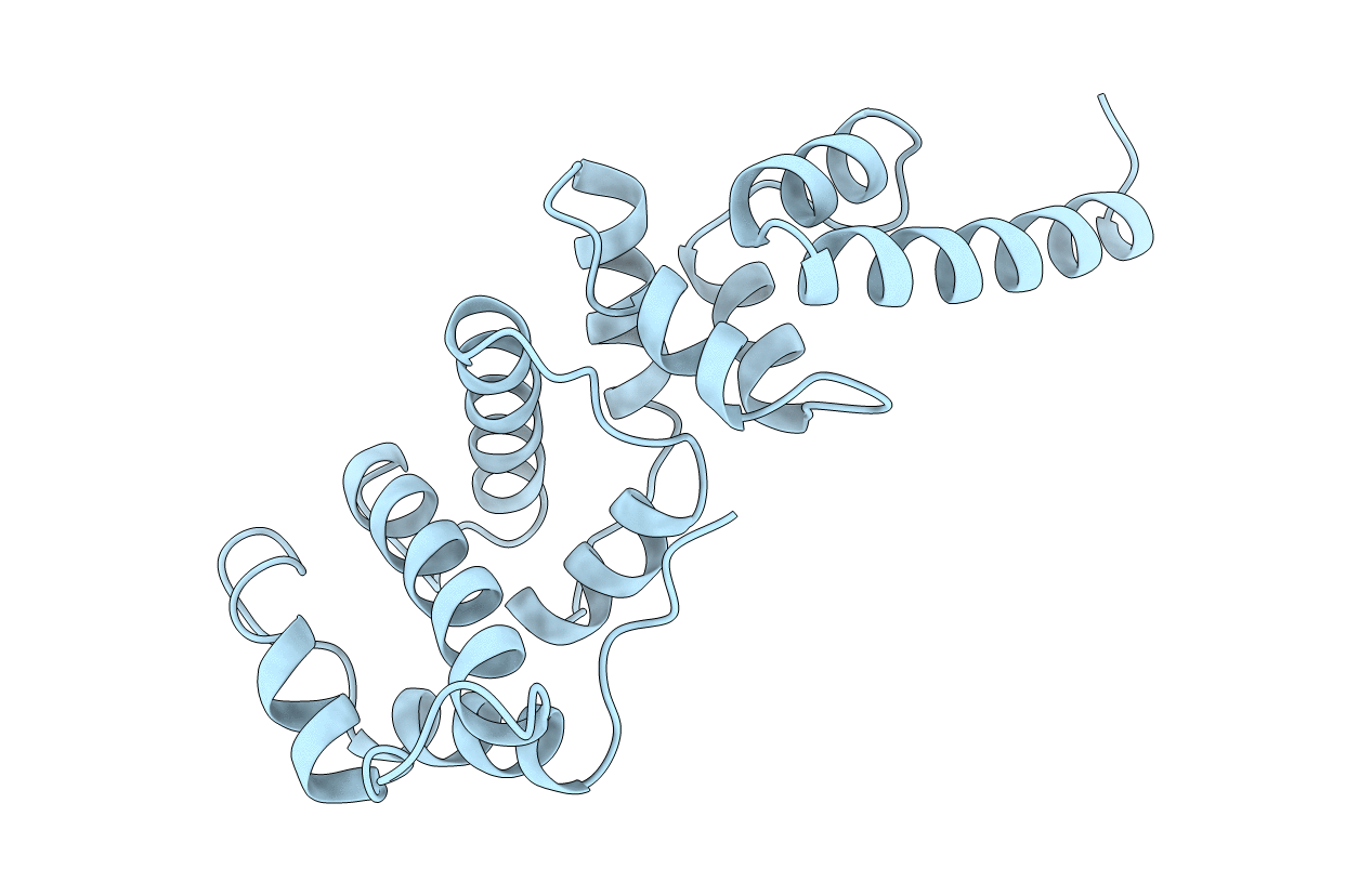 1PBV image