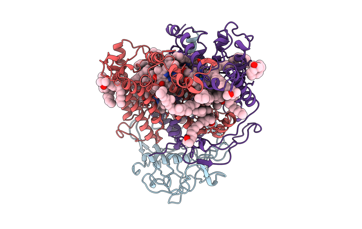1PCR image