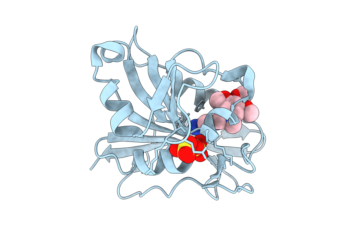 1PD9 image