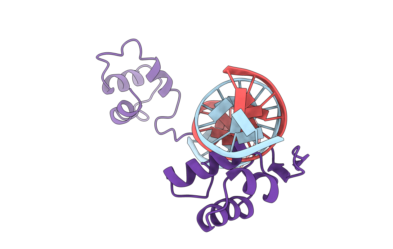 1PDN image