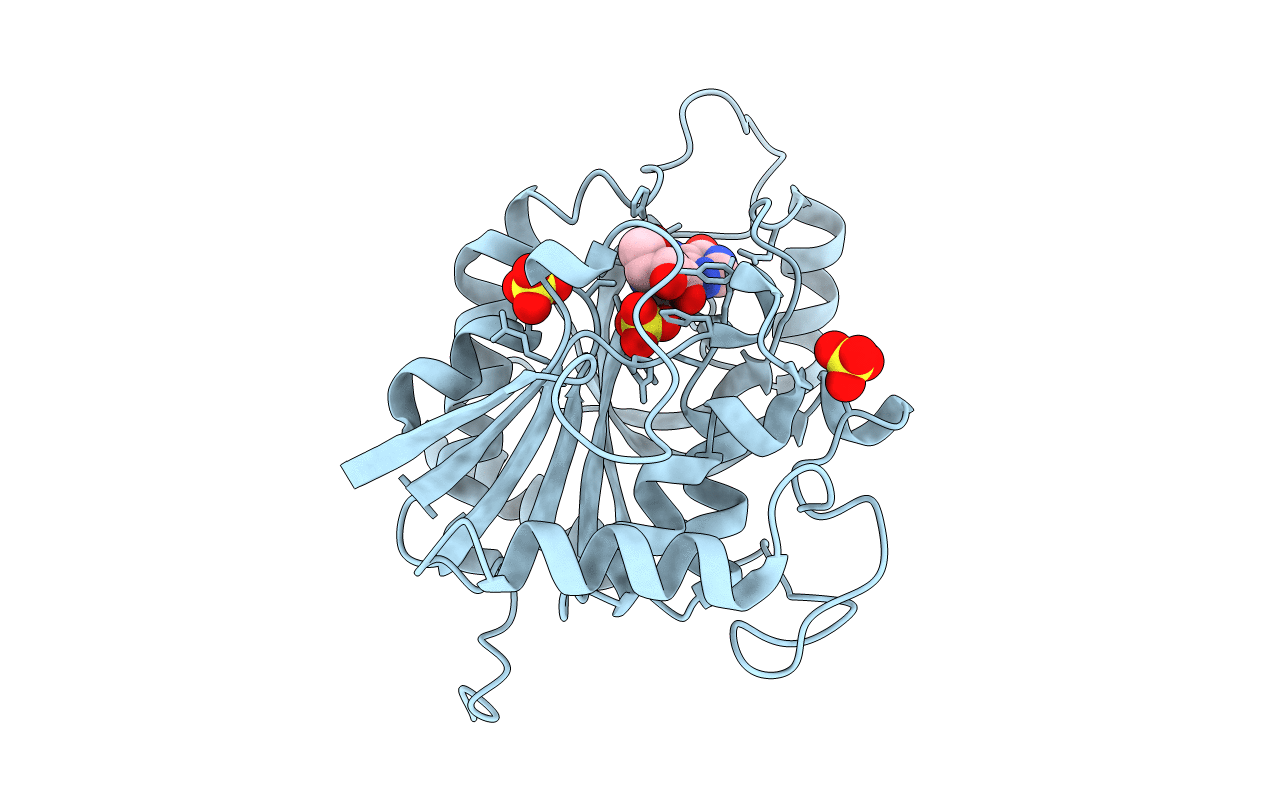 1PF7 image